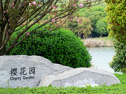 园区风景