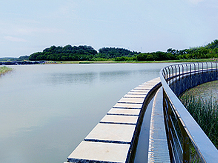 园区风景