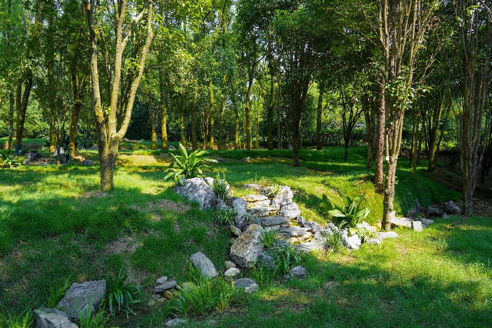 墓区风景