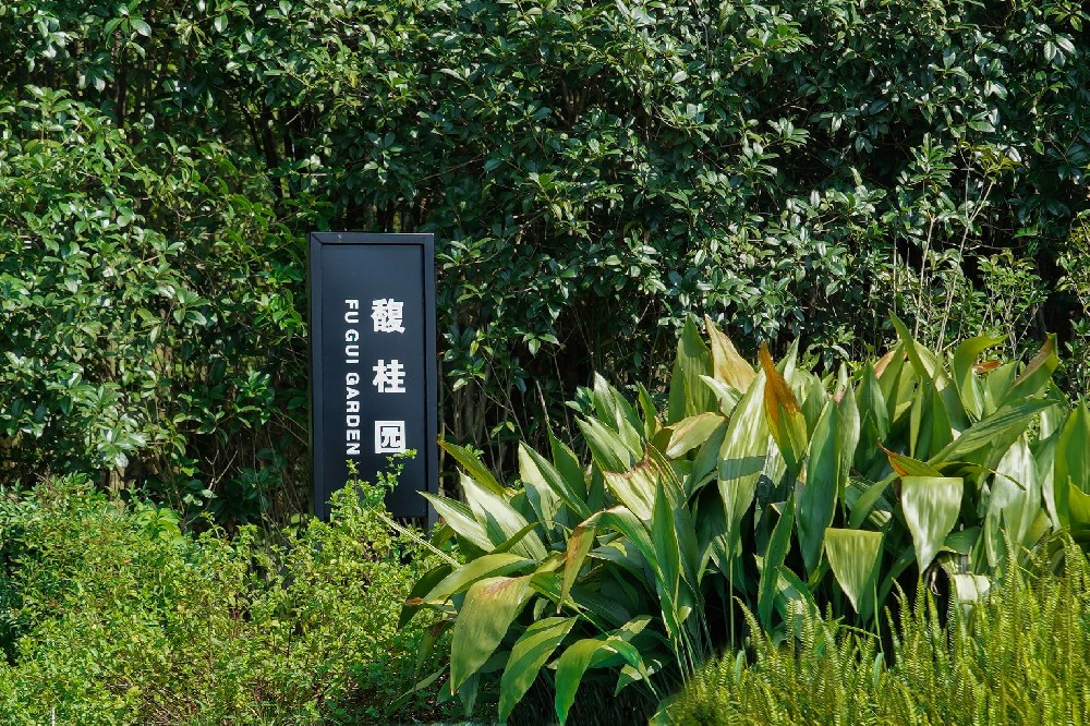 墓区风景