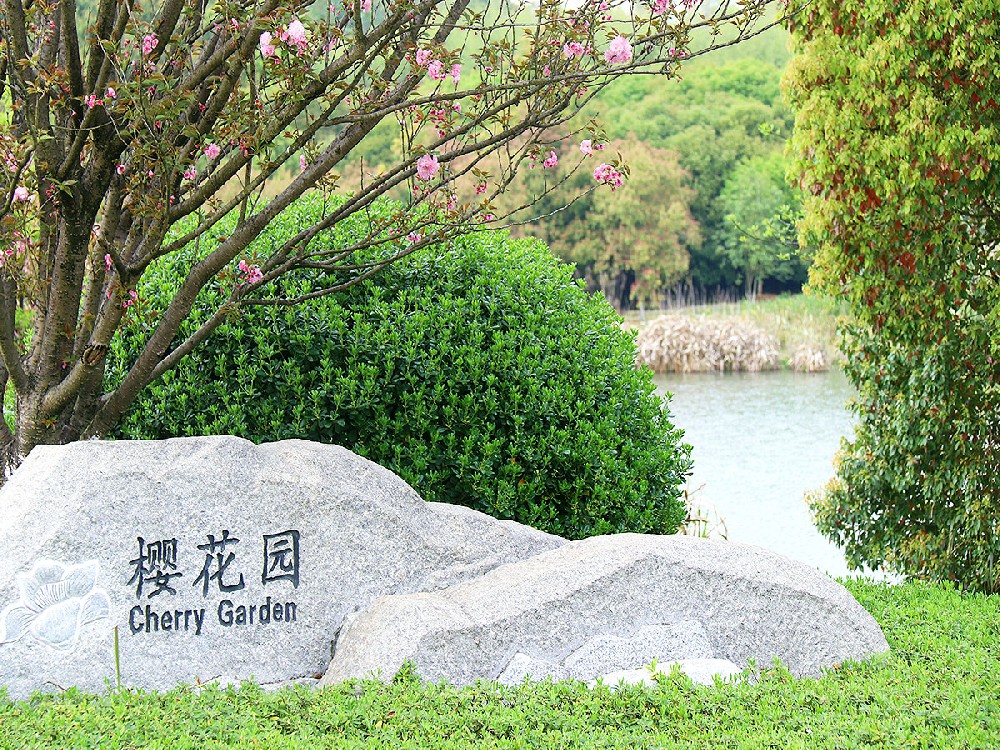 仙鹤湖湿地陵园2024年最新价格表